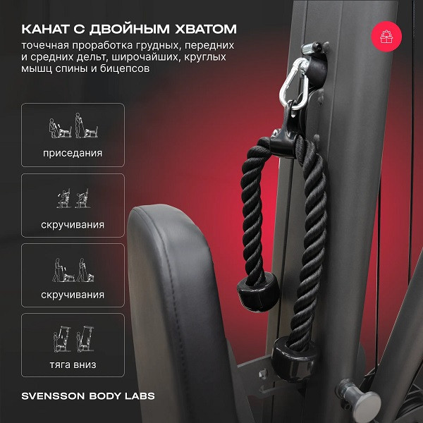 Силовой комплекс Svensson Body Labs RIGEL PLUS PRO стек 60 кг