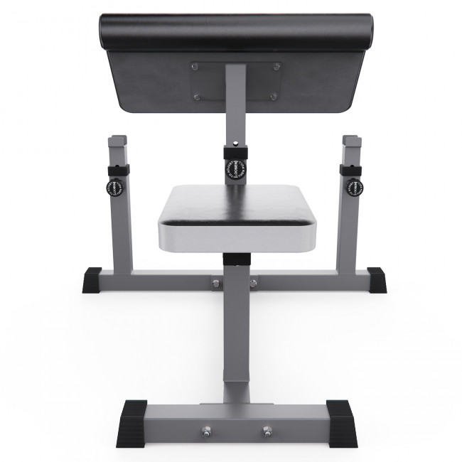Скамья Скотта DFC Homegym AY001 Скамья Скотта DFC Homegym AY001