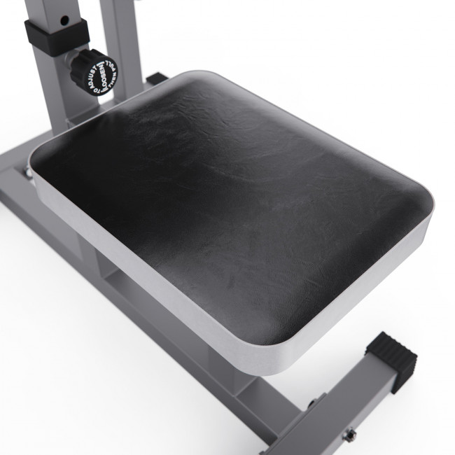 Скамья Скотта DFC Homegym AY001 Скамья Скотта DFC Homegym AY001