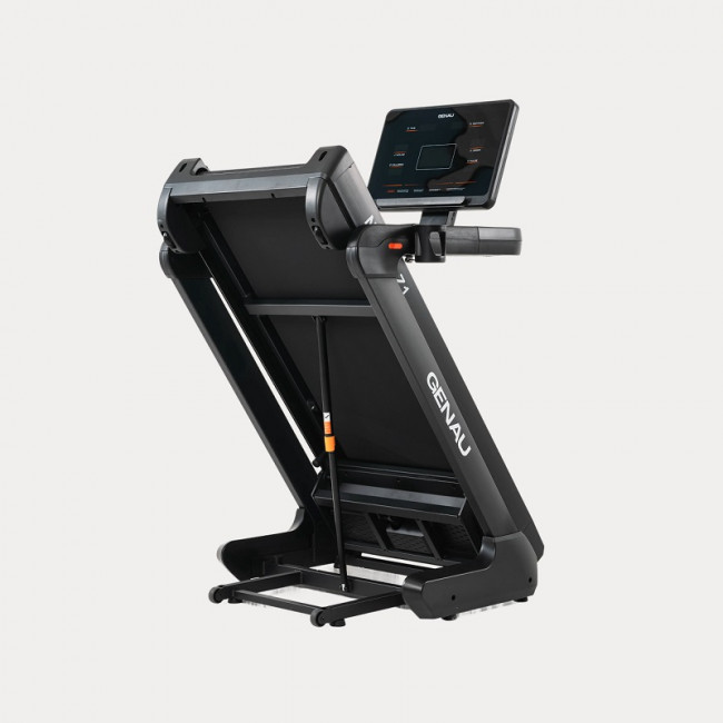 Беговая дорожка GENAU Nordic Z1 Беговая дорожка GENAU Nordic Z1