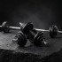 Набор гантелей и штанга UNIX Fit в кейсе 50 кг DBKITU50